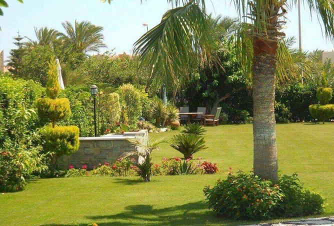 8160587 - الصورة الرئيسية للعقار