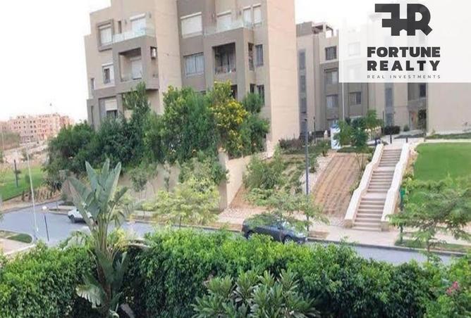 8338525 - Property Image 3