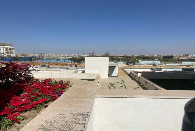 7981049 - صورة العقار 2