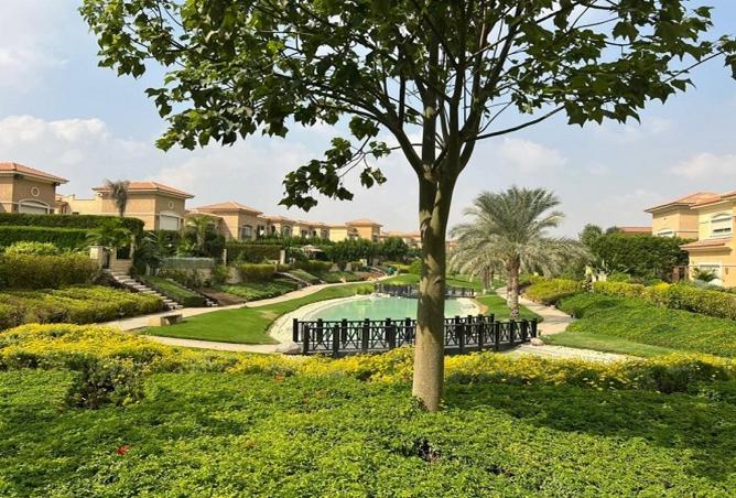 8326899 - Property Image 3