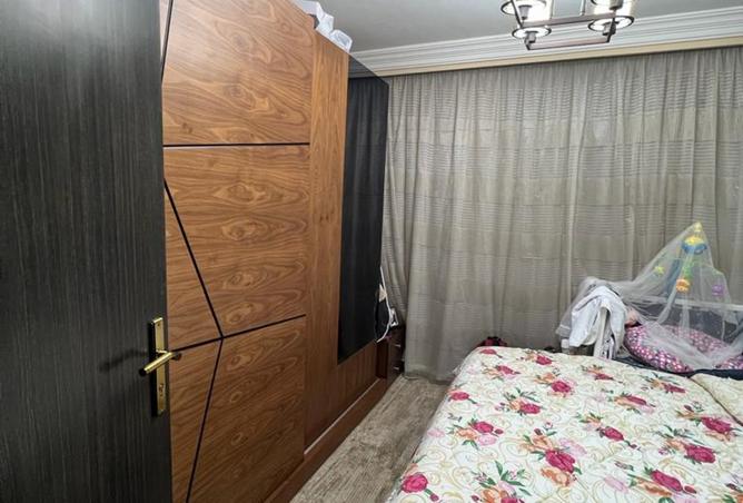 8233524 - Property Image 3