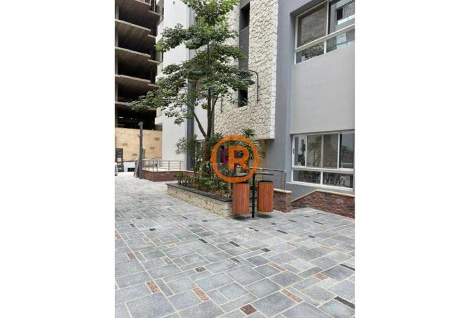 8199596 - Property Image 3