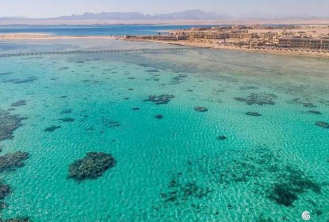 8391649 - Property Image 3