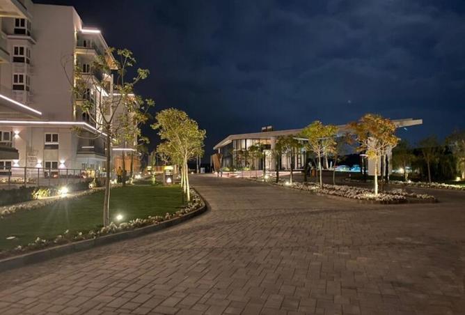 8442741 - Property Image 3