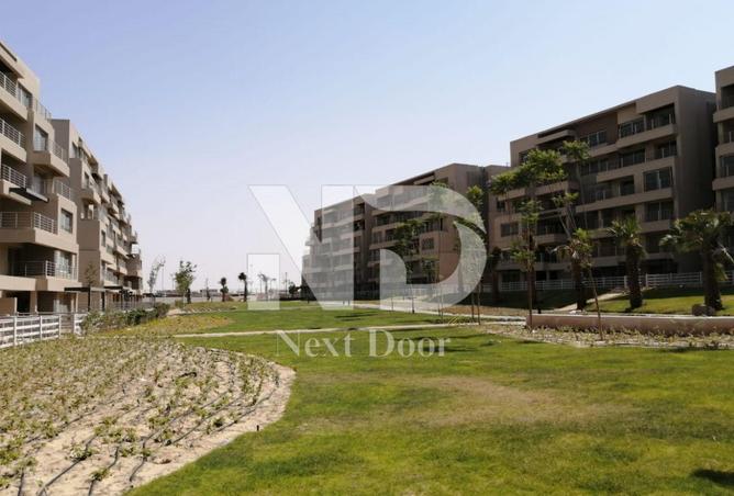 8241001 - Property Image 3