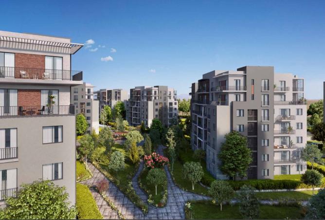 8232776 - Property Image 2