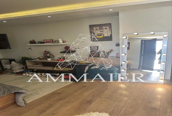 8449667 - Property Image 2