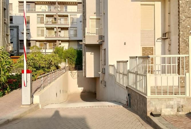 7906475 - Property Image 3