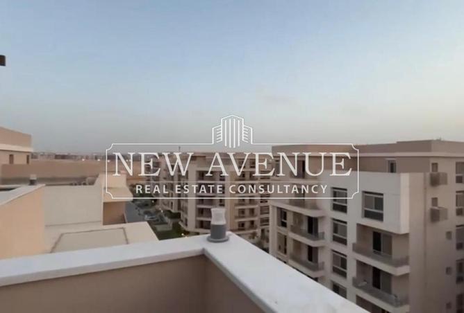 8356635 - Property Image 3