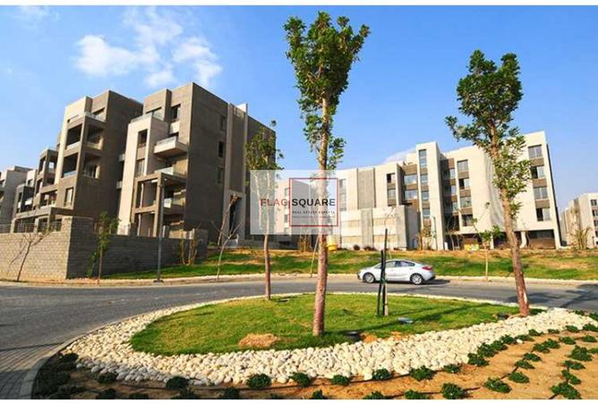 8068572 - Property Image 2