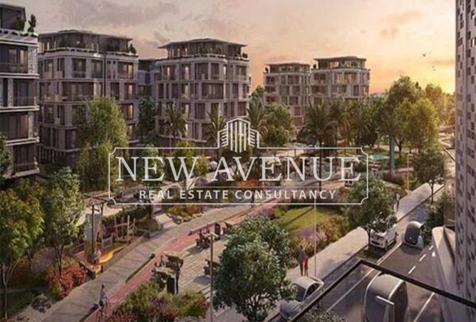 8064488 - Property Image 3