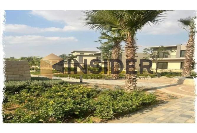 8195973 - صورة العقار 3