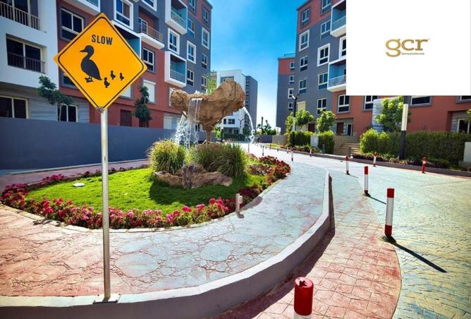 8443443 - Property Image 3