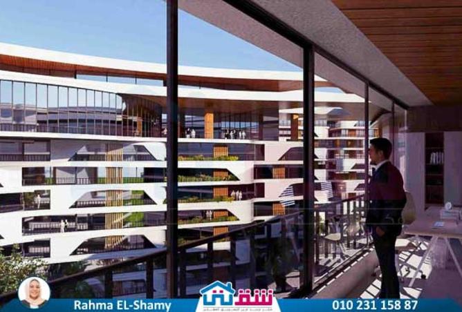 8146427 - Property Image 2