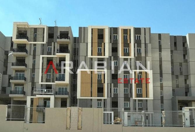 8305481 - Property Image 3