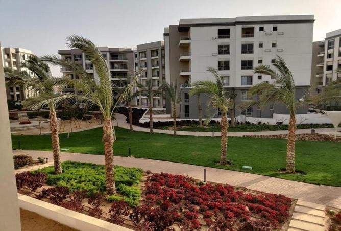 7969822 - صورة العقار 2