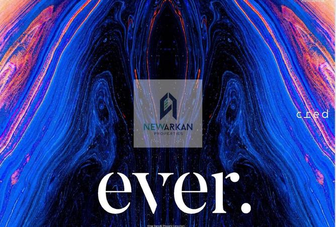 8439675 - Property Image 3