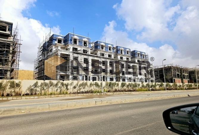 8347980 - Property Image 3