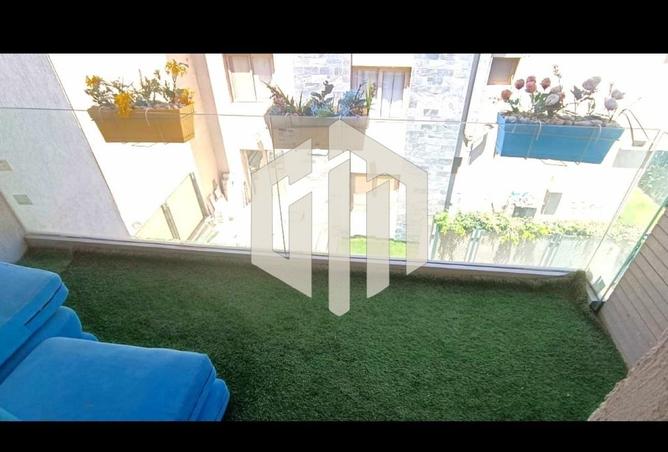 8037335 - Property Image 3