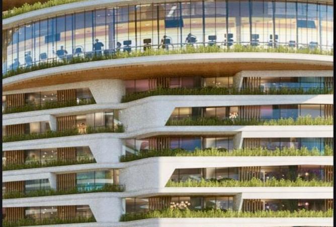 8435587 - Property Image 3