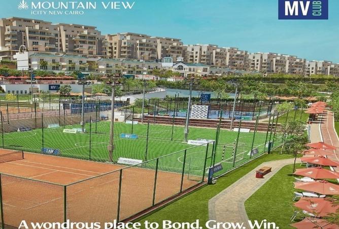 8215225 - Property Image 3