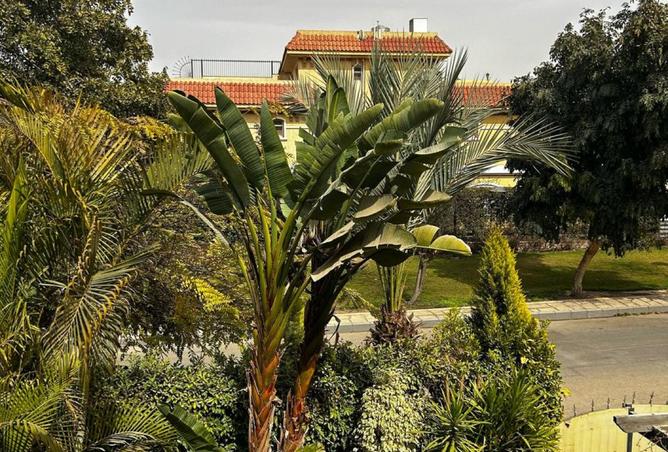 8046222 - صورة العقار 2