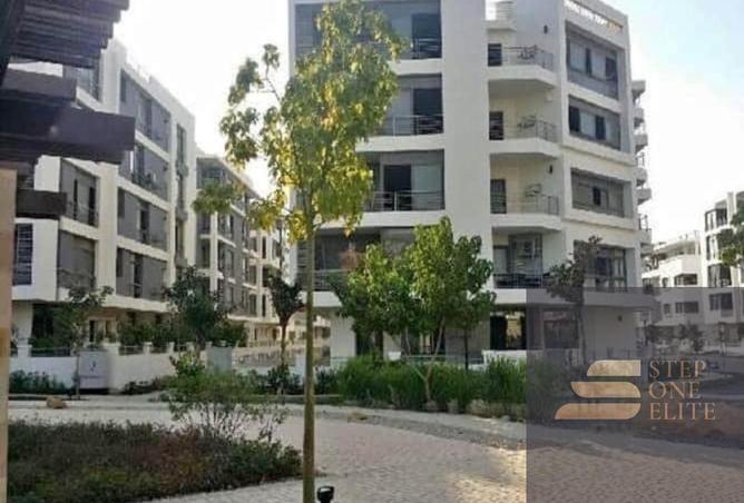 8290681 - Property Image 3