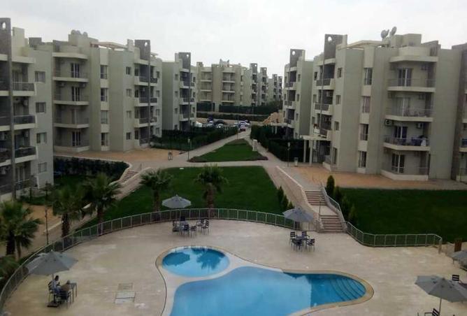 8035879 - Property Image 3