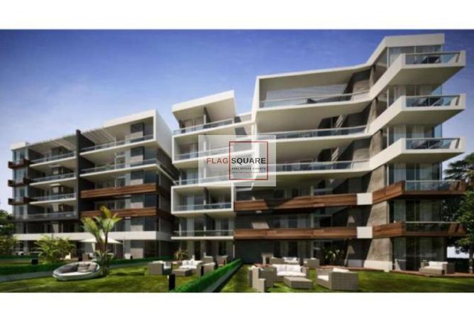 8113754 - Property Image 3