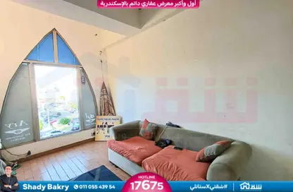 Office Space - Studio - 1 Bathroom for sale in Mohamed Bahaa Al Din Al Ghouri St. - Smouha - Hay Sharq - Alexandria