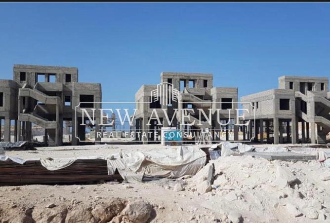 8164621 - Property Image 3