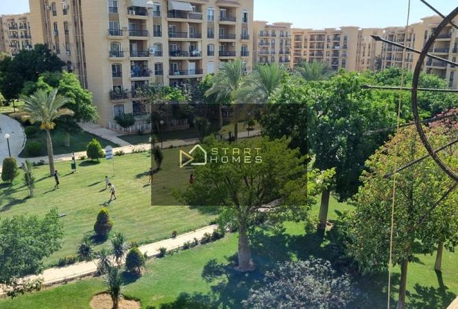 8379564 - Property Image 3