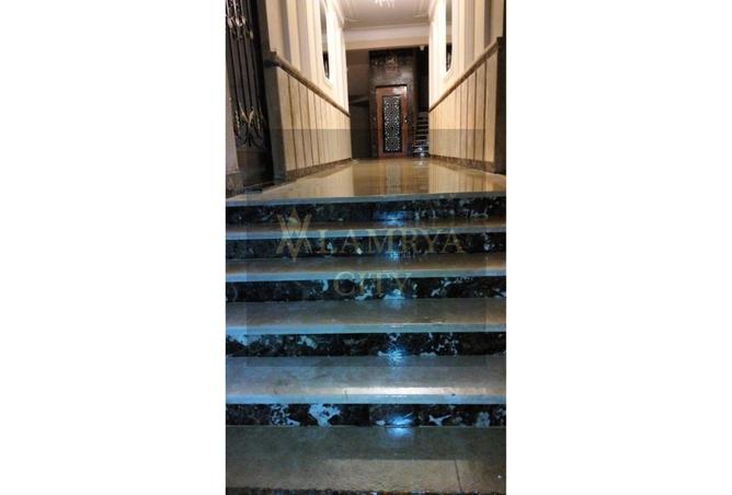 8083495 - Property Image 3