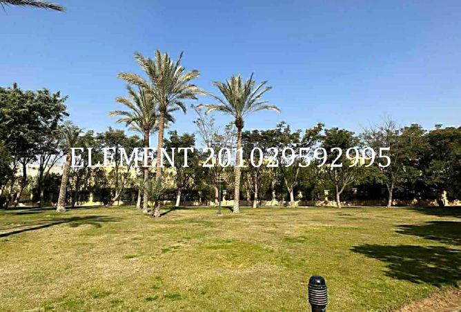 8402306 - صورة العقار 2