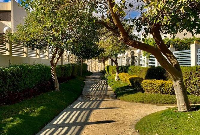 8377102 - Property Image 2