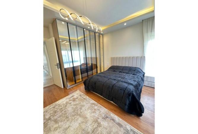 8190431 - Property Image 3