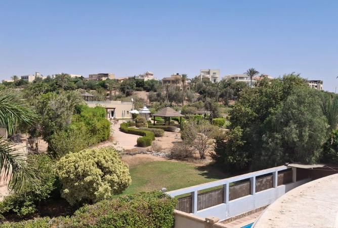 8004059 - Property Image 3