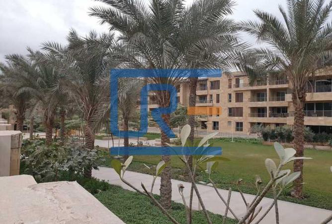 8002608 - صورة العقار 3