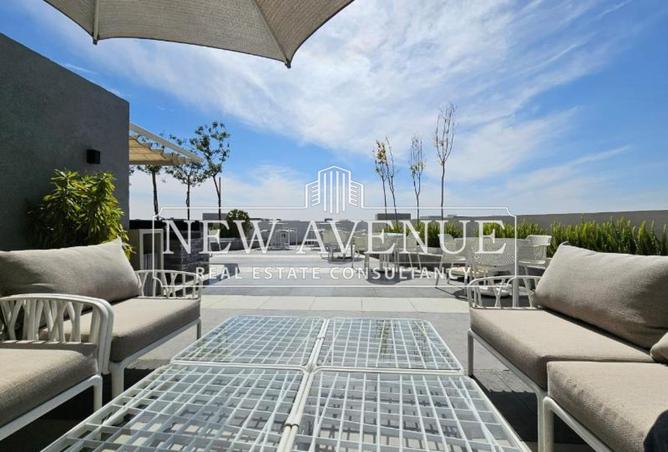 8272527 - Property Image 3