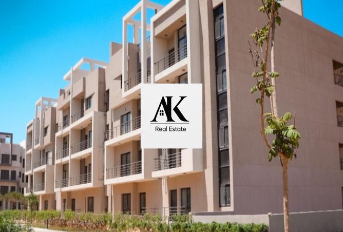 8150451 - Property Image 2