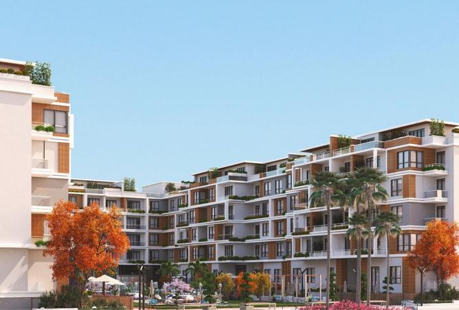 8242698 - Property Image 2