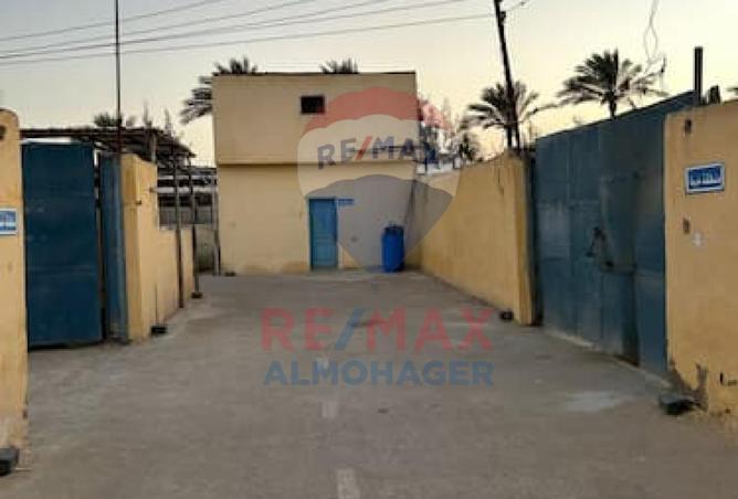 8325552 - Property Image 3