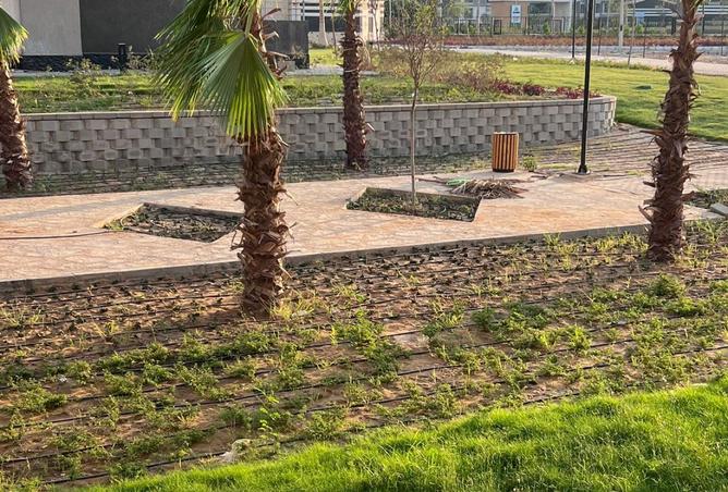 8485392 - صورة العقار 2