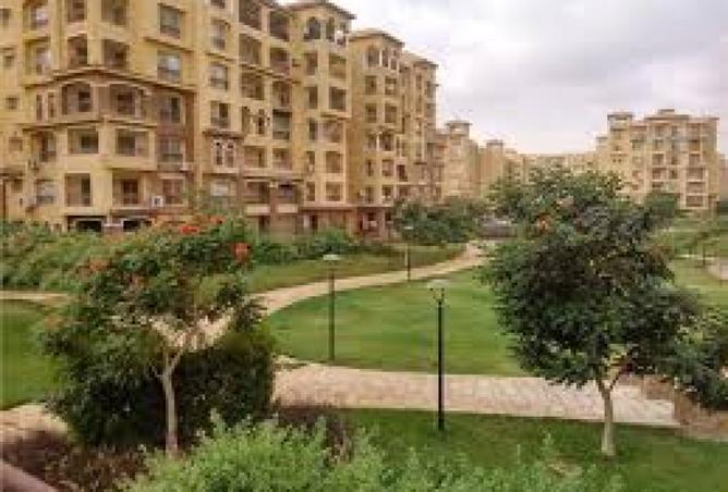 8340087 - Property Image 3