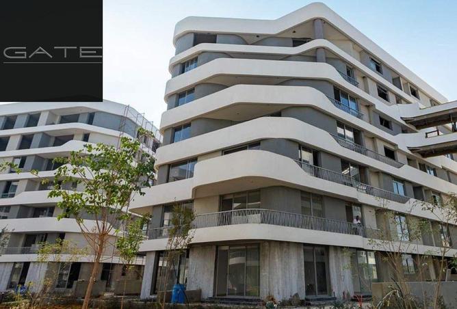 8379649 - Property Image 3