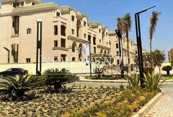 8161161 - Property Image 3