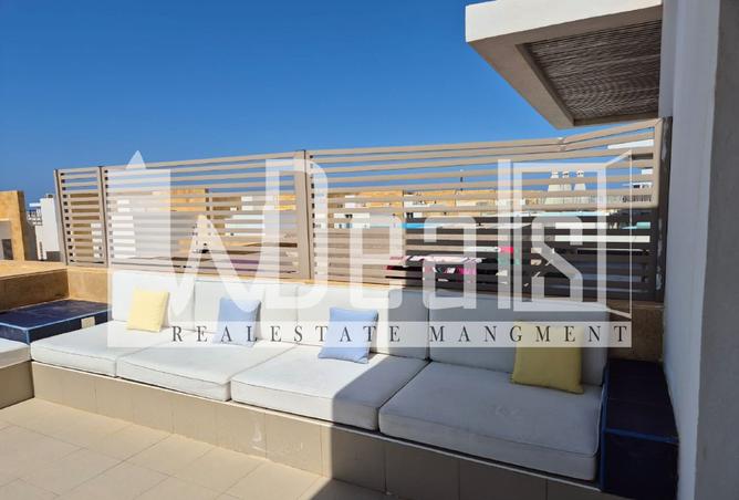 7903721 - Property Image 3