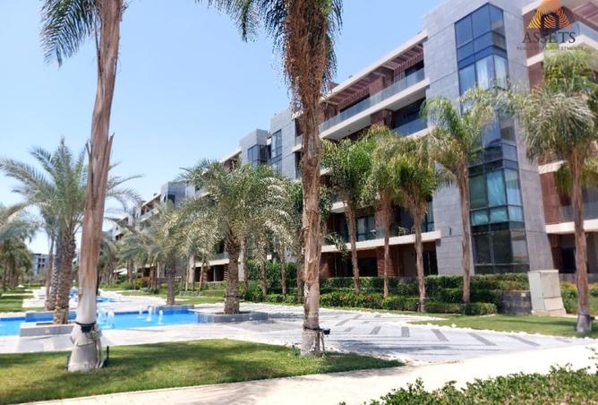 8443966 - صورة العقار 3