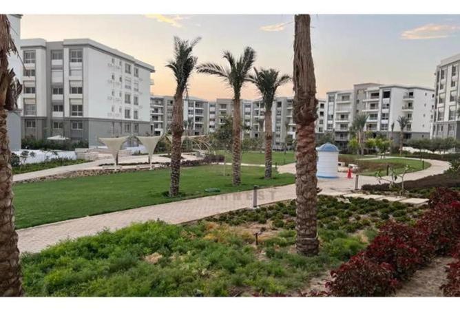 8042592 - Property Image 3