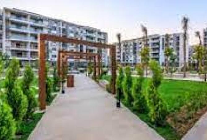 8184348 - صورة العقار 2